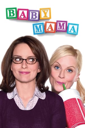 Baby Mama (2008) Hindi Dual Audio 720p BluRay [900MB]